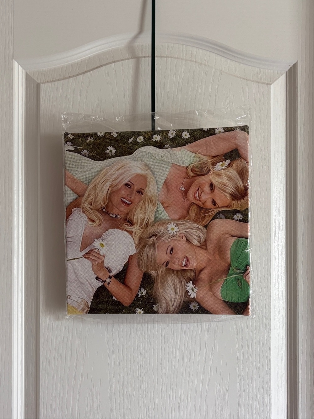 The Girls Next Door Canvas Art Print 12 X 12 Holly Bridget Kendra Playboy
